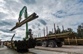 21.06.2023. “Lean pirmie soļi Koka balstu ražotnē”